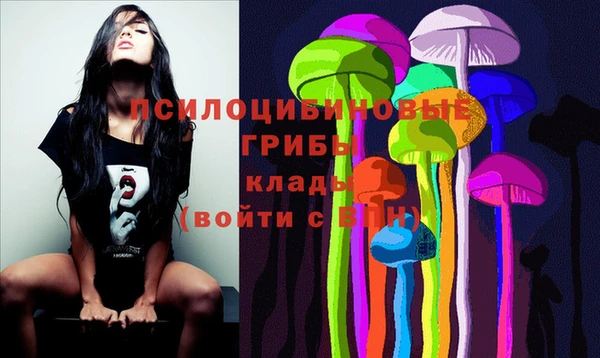твердый Няндома