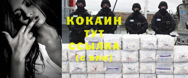 твердый Няндома